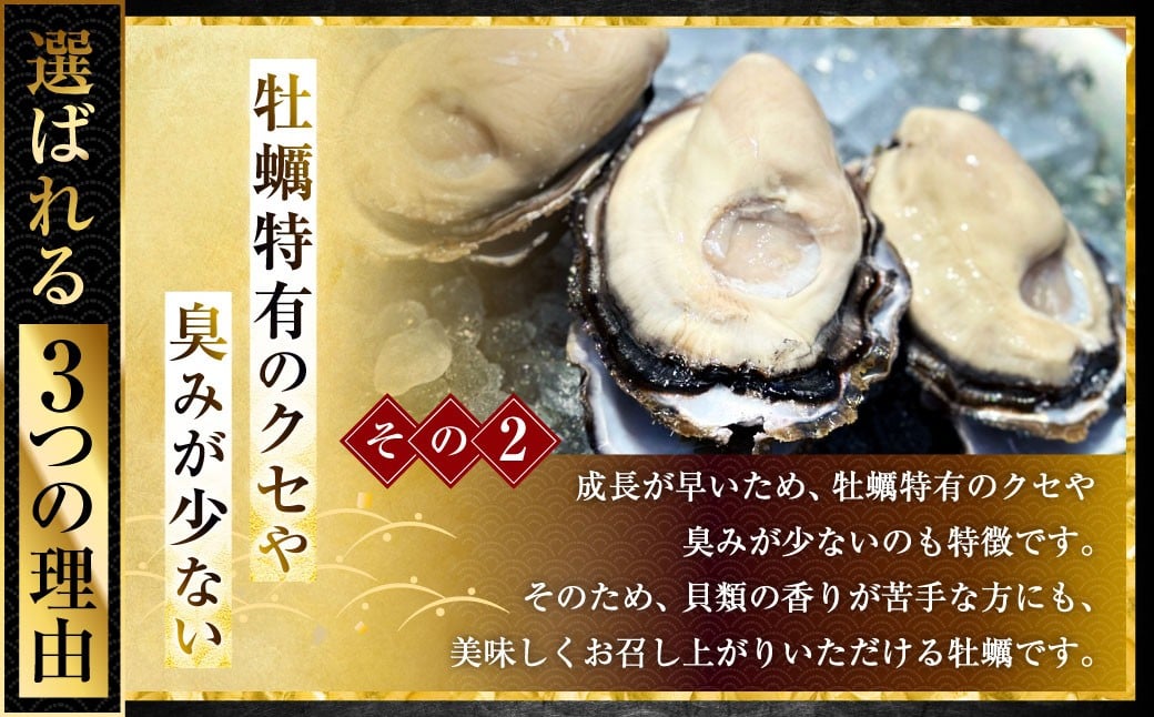 坂越かき 殻付き 30個(牡蠣ナイフ・軍手付き)