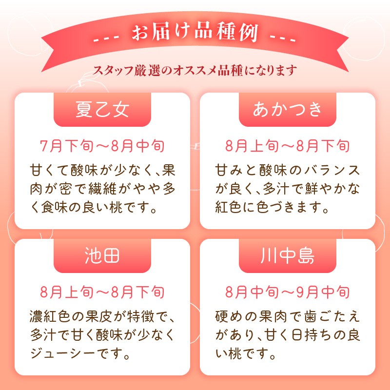 ≪先行受付≫ froSchがお届けするおまかせ白桃 約2kg 【2025年7月下旬より順次発送予定】
