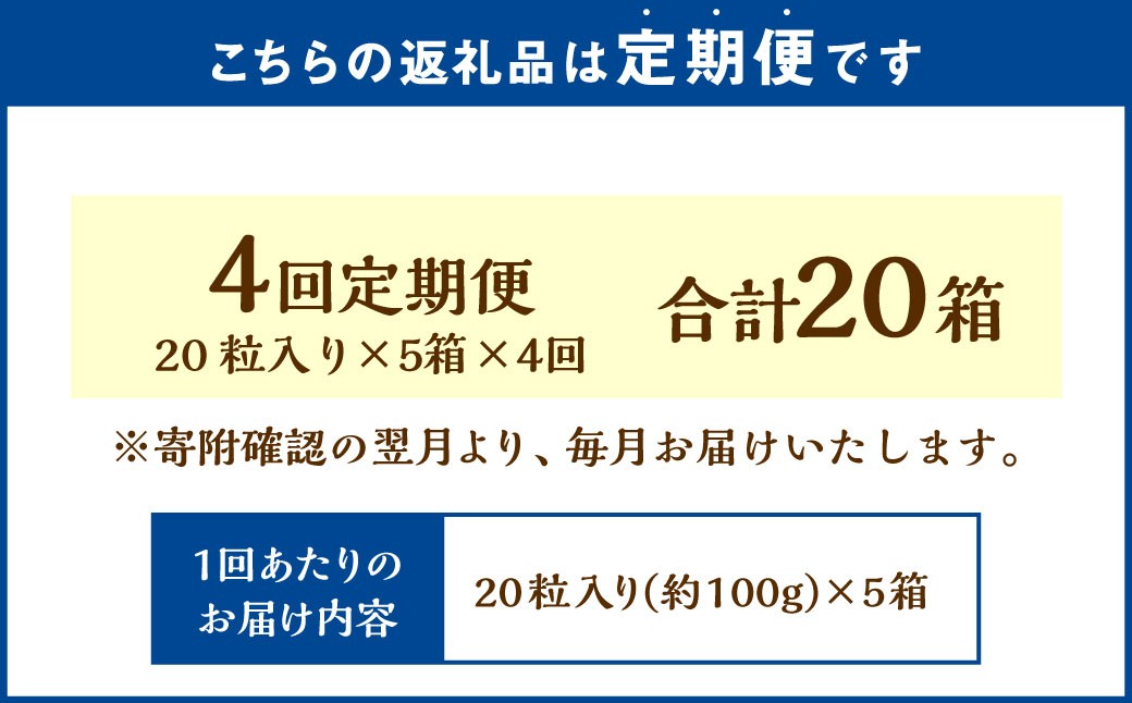 【4回定期便】 《冷凍》 北海道生チョコレート (ミルク) 5箱×4回 合計20箱