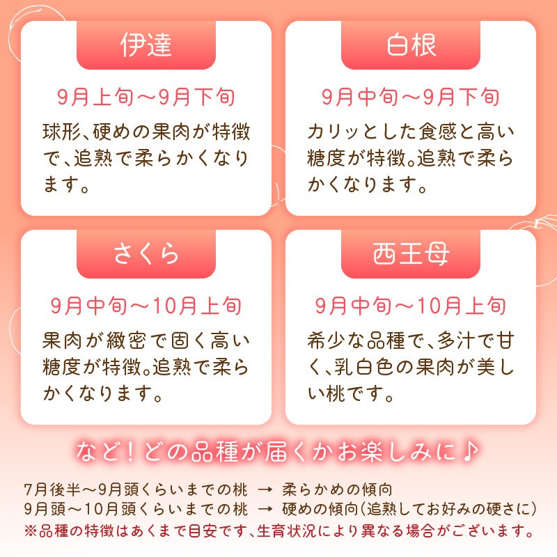 ≪先行受付≫ froSchがお届けするおまかせ白桃 約3kg 【2026年7月下旬より順次発送予定】
