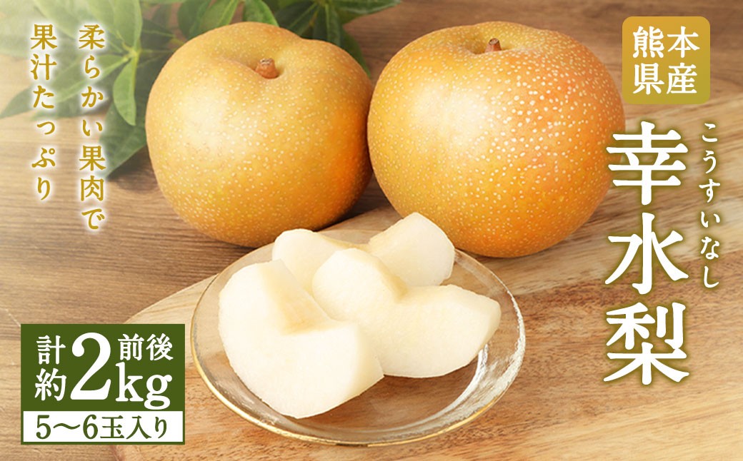 熊本県産 幸水梨 2キロ
