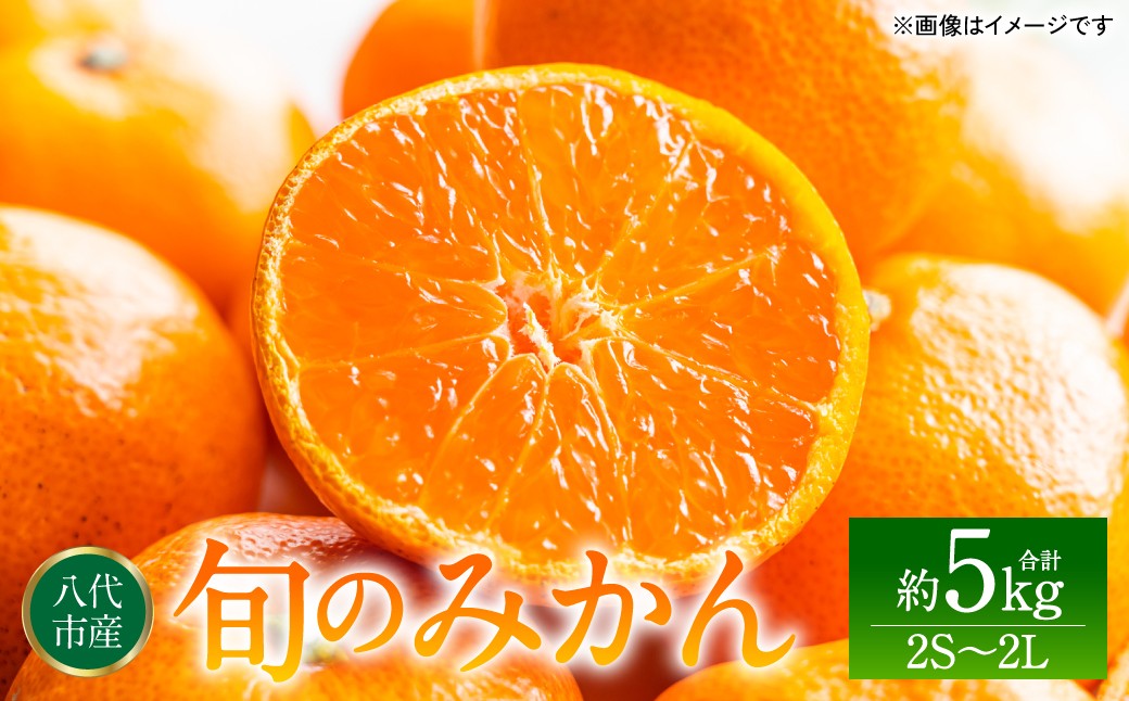 熊本県八代市産 旬のみかん 約5kg 2S～2Lサイズ