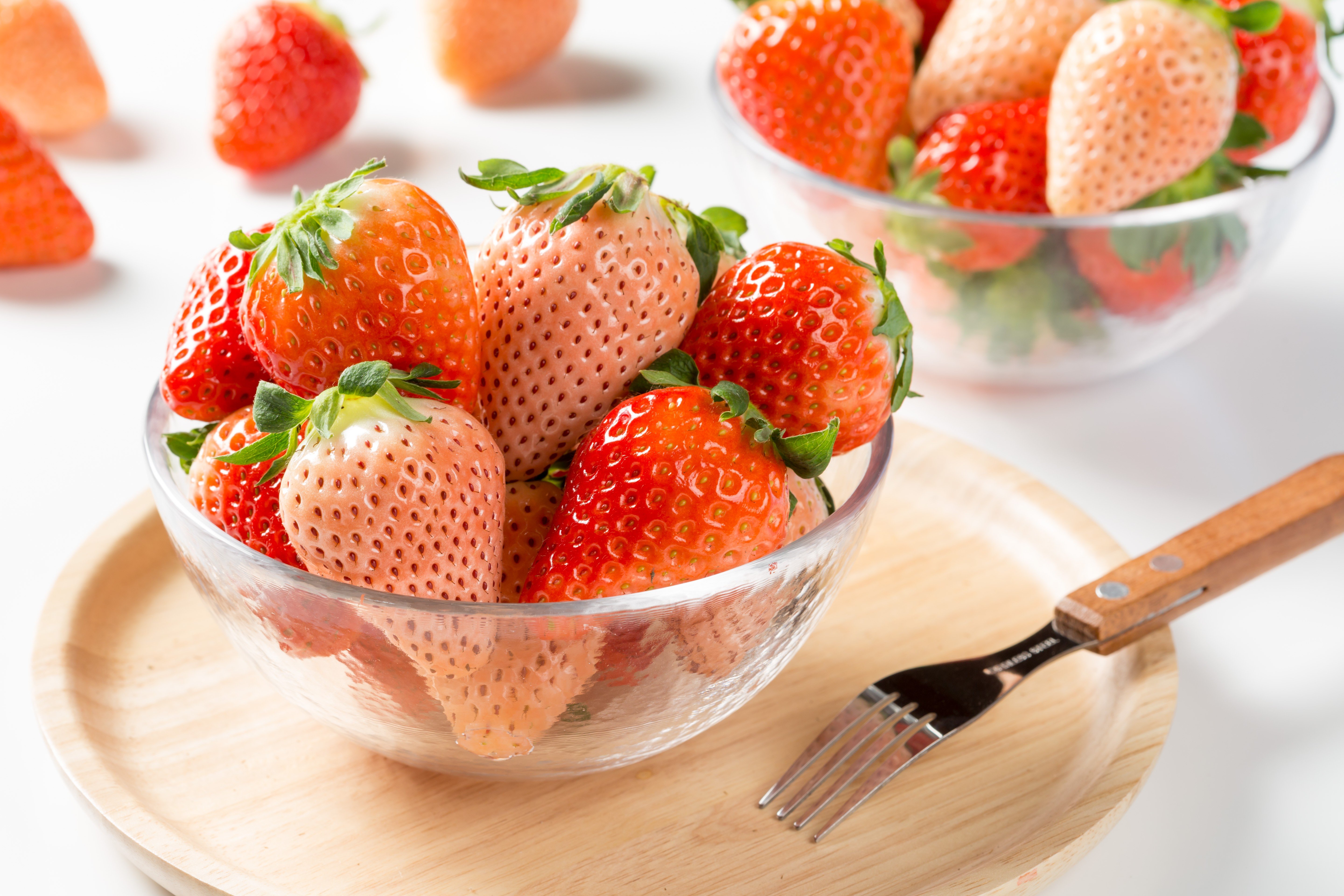 写真はイメージです。