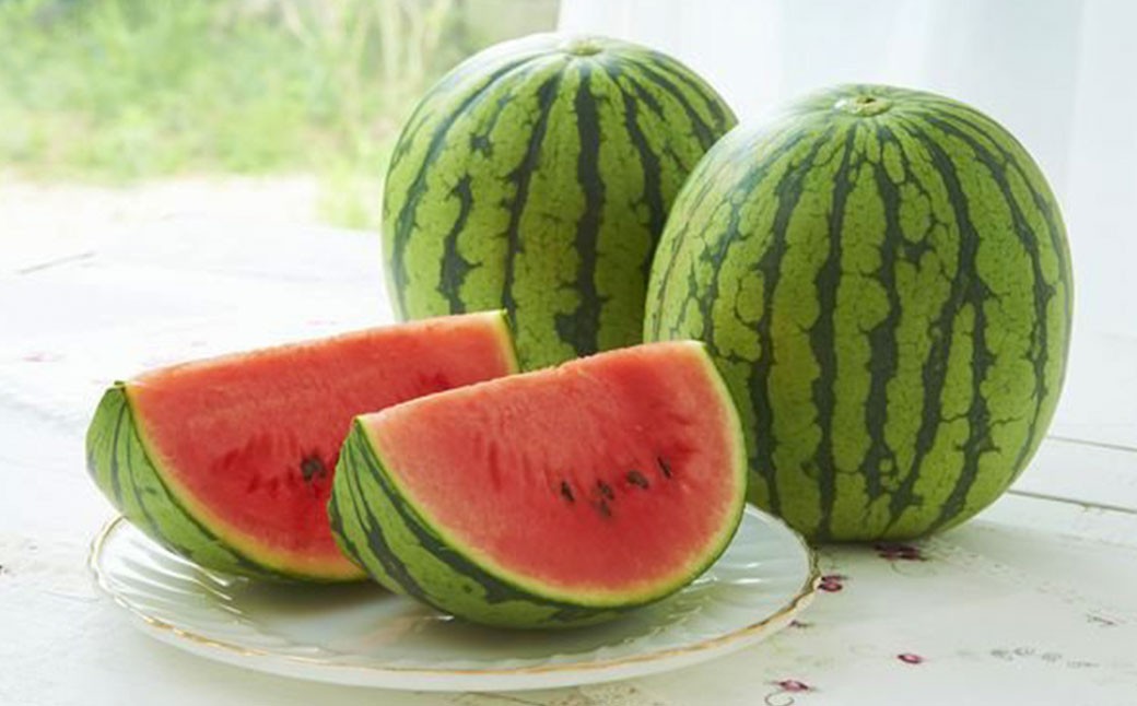 熊本県産 小玉スイカ 2玉