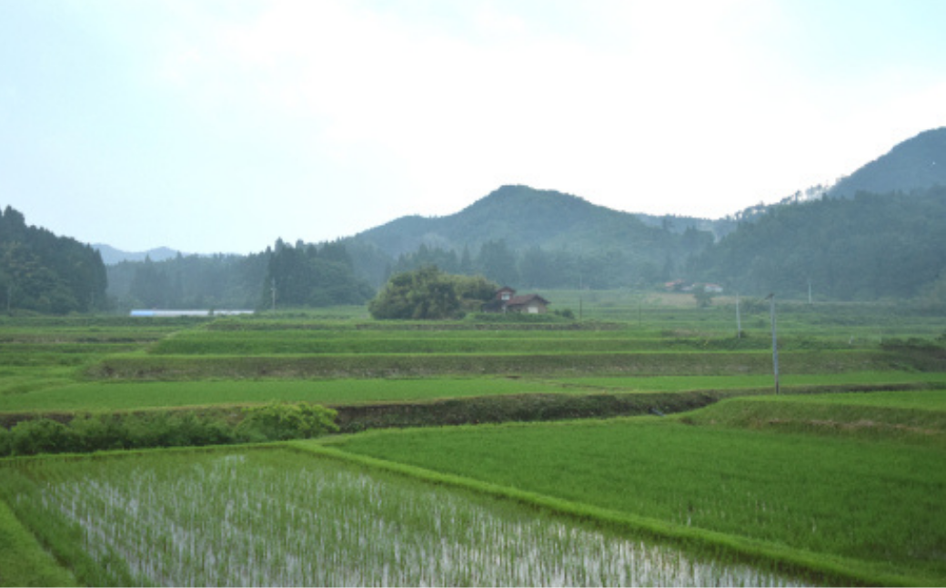 空気は澄んでいて水もきれい。中山間地域なので、季節の寒暖差でお米がおいしく育ちます。