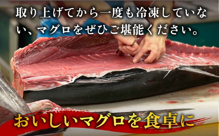 【全3回定期便】五島列島産 養殖 生本かみまぐろ 赤身 500g / まぐろ 鮪 刺身 ブロック