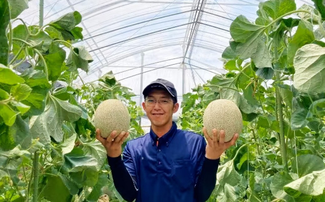 くまモン柄のメロン 1玉 果物 フルーツ めろん