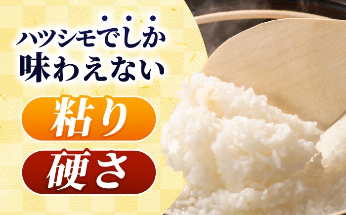 米 こめ コメ 白米 はくまい ご飯 ごはん