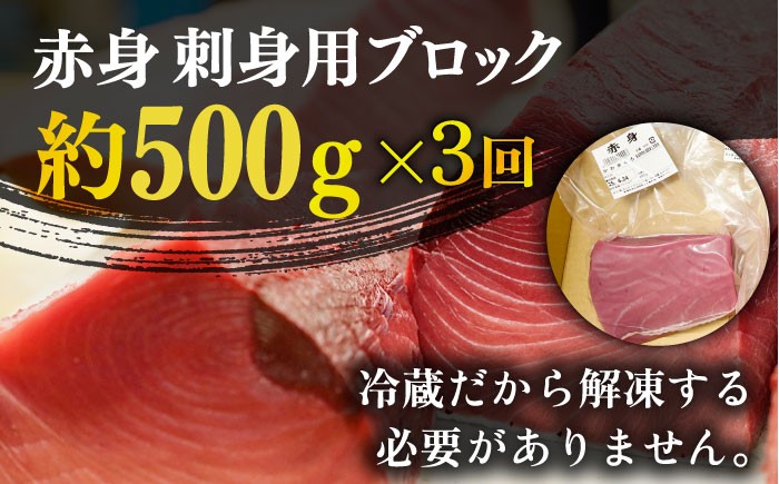 【全3回定期便】五島列島産 養殖 生本かみまぐろ 赤身 500g / まぐろ 鮪 刺身 ブロック
