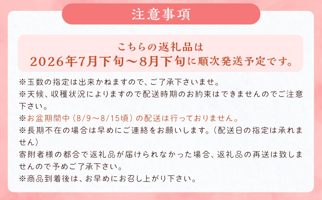 数量限定 幸水梨 9～12玉 なし 梨 福岡県産