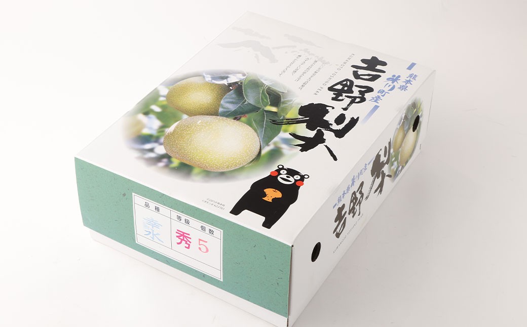 熊本県産 幸水梨 2キロ