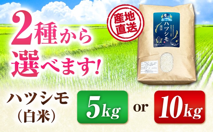 米 こめ コメ 白米 はくまい ご飯 ごはん