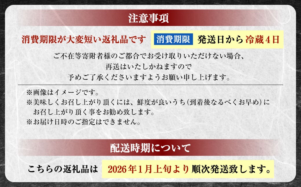 坂越かき 殻付き 33個【ナイフなし】