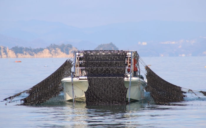 海苔 田島海苔師の焼海苔 5袋入り