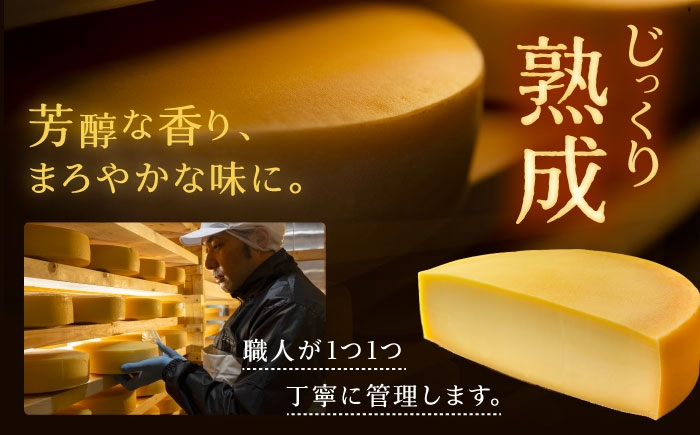 北海道産 十勝チーズ 食べくらべ 食べ比べ チーズ ハードタイプ セミハード