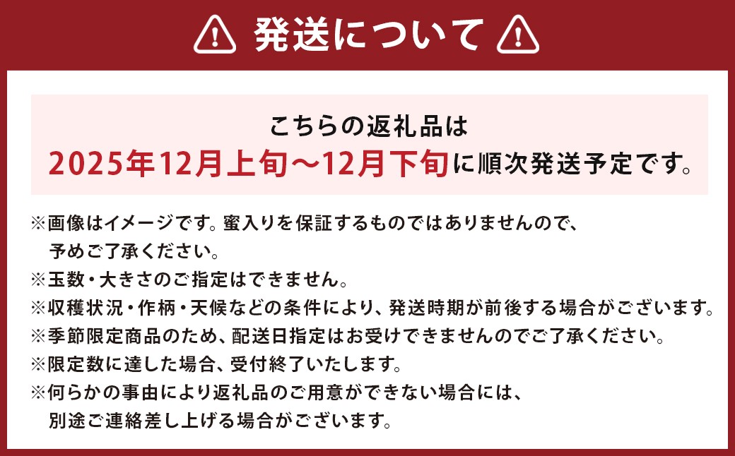二戸産りんご サンふじ 約3kg