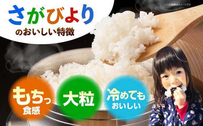 さがびより ( 白米 ) 4kg【北原農園】[HCA004]