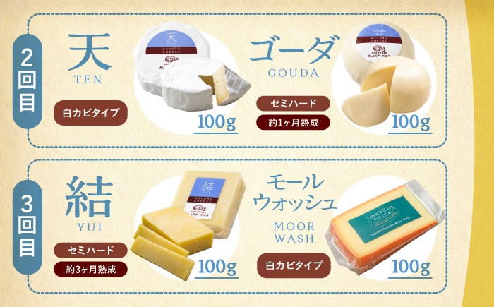 北海道産 十勝チーズ 食べくらべ 食べ比べ チーズ ハードタイプ セミハード