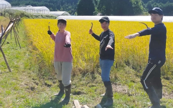 標高約500mの山間地でのびのびと育てられており、一粒一粒に旨みが凝縮されております。