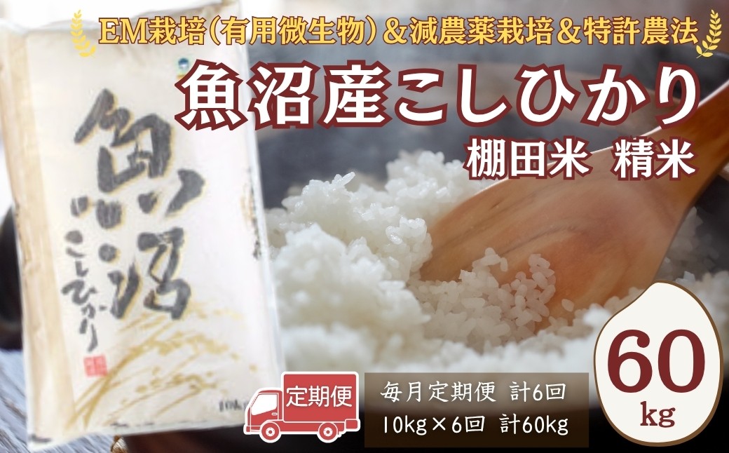 減農薬栽培に加えて、特許農法での「安心・安全なコメ作り」に取り組んでいます。
