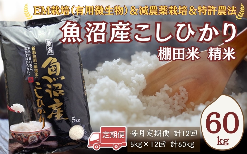 減農薬栽培に加えて、特許農法での「安心・安全なコメ作り」に取り組んでいます。