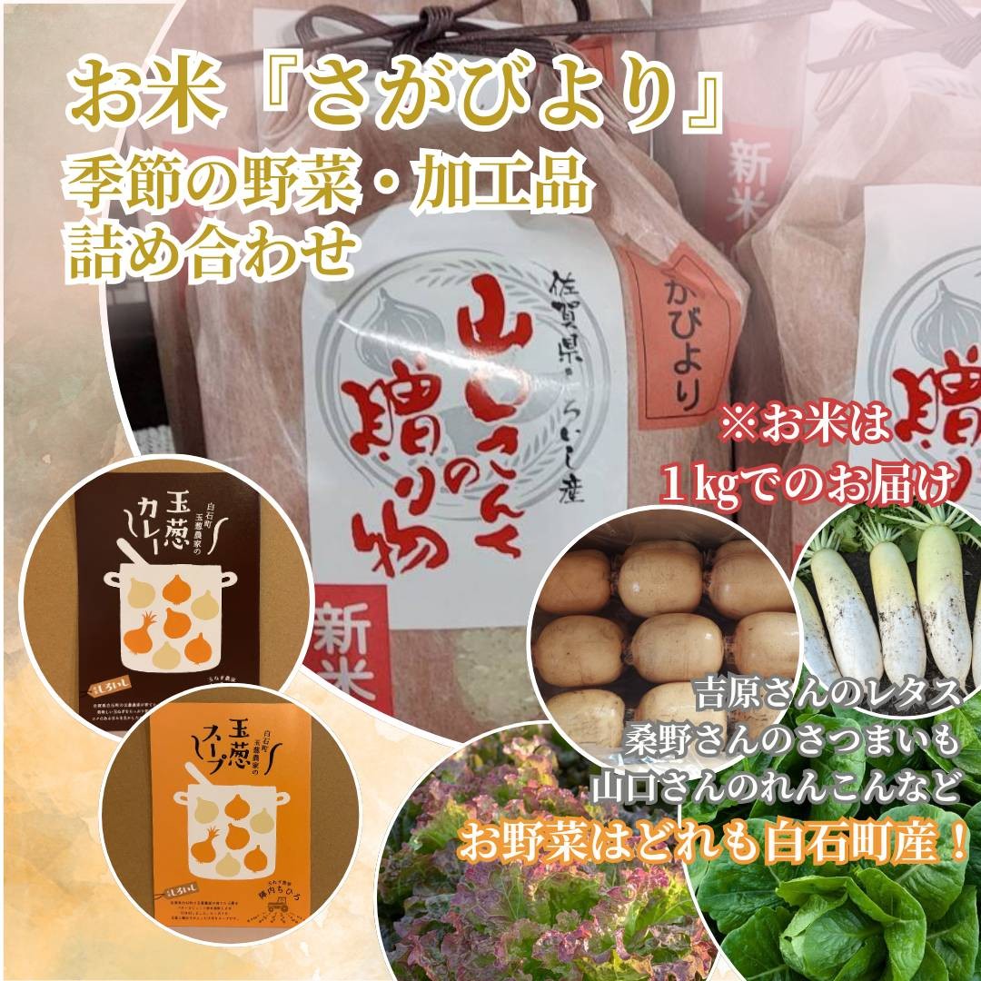 お米1kgと季節の野菜、こだわりの玉ねぎカレー＆スープの詰め合わせ