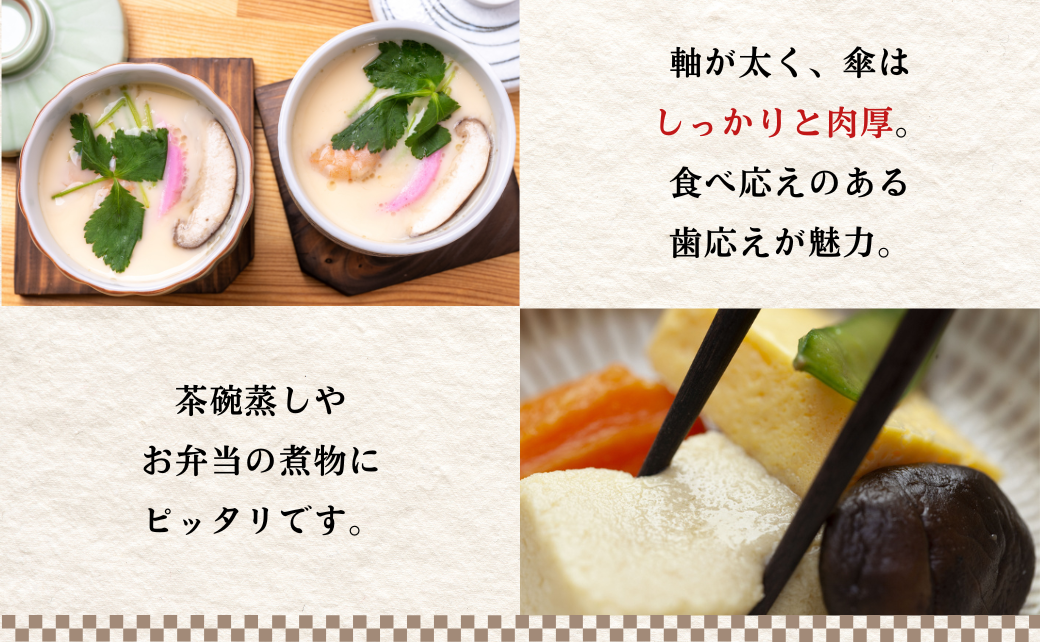 大分県産 しいたけ 津久見で育てたちびっこ乾燥しいたけ 15g×4袋 