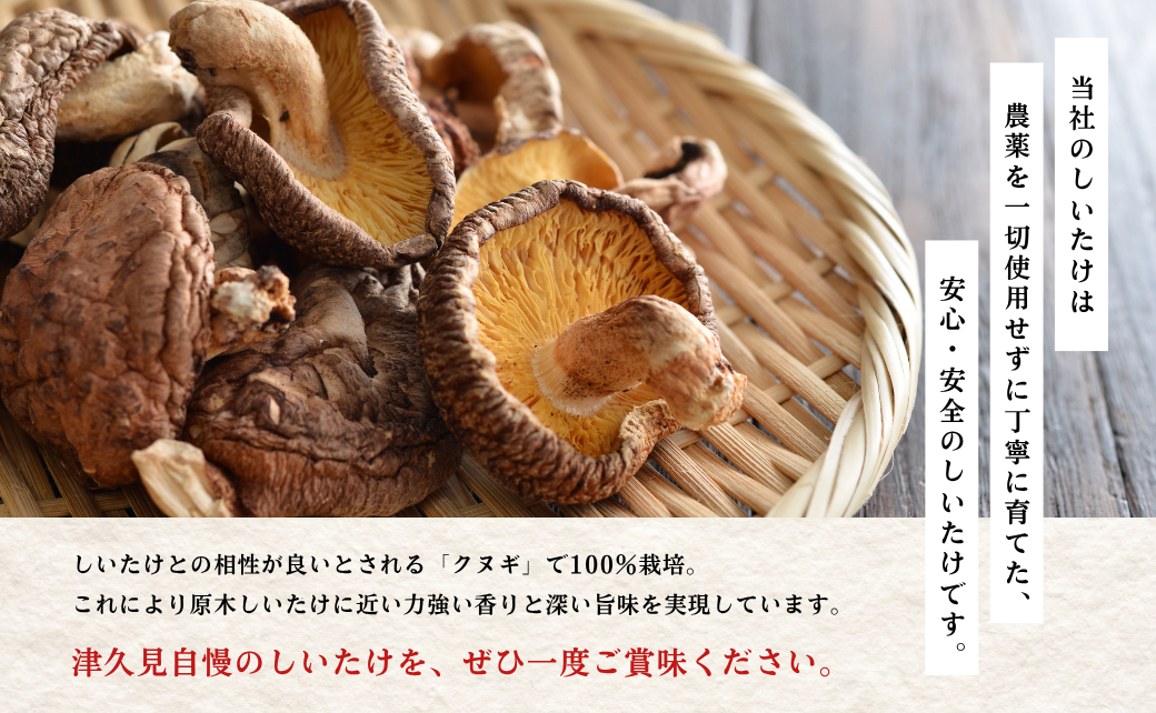 大分県産 しいたけ 津久見で育てたちびっこ乾燥しいたけ 15g×5袋 