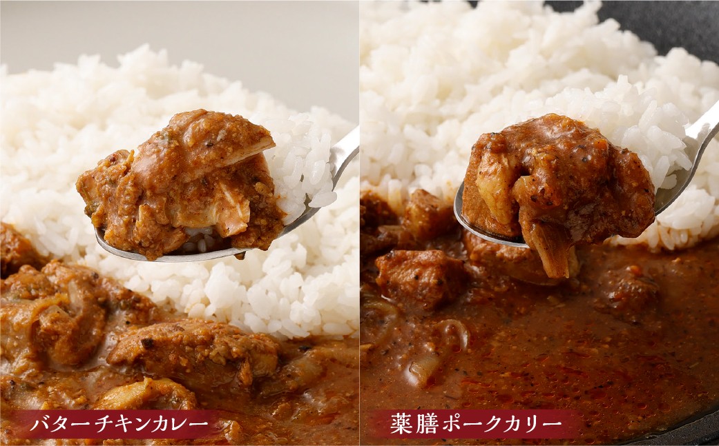 カラダ思いのスパイスカレー便り 5種セット 手作りカレー レトルトカレー スパイスカレー カレー 冷蔵