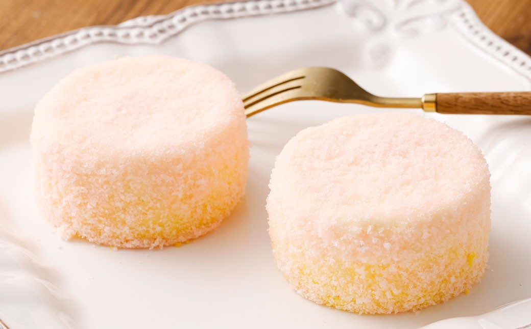 【5回定期便】 北海道ミニフロマージュ 3種 セット （プレーン ・ アップル ・ メロン） 約900g×5回 合計約4.5kg