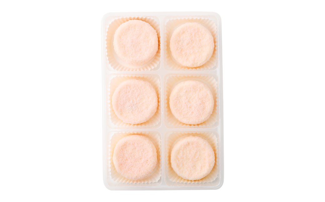 【2回定期便】 北海道ミニフロマージュ （アップル） 約900g×2回 合計約1.8kg