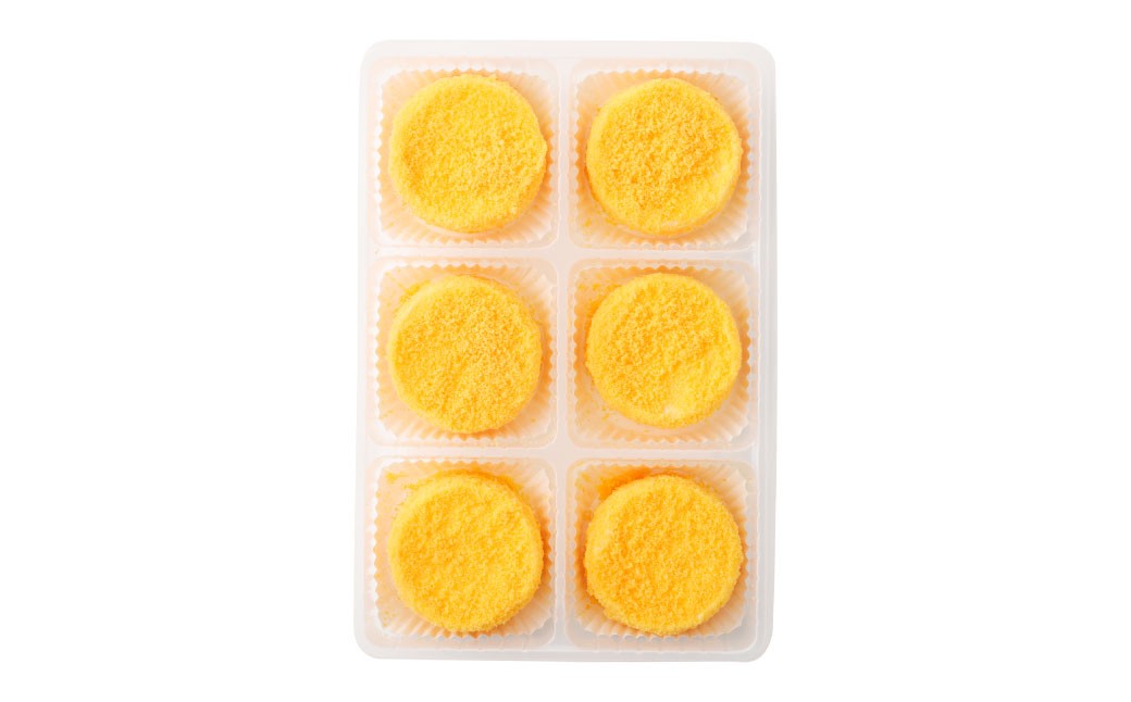 【2回定期便】 北海道ミニフロマージュ （メロン） 約900g×2回 合計約1.8kg