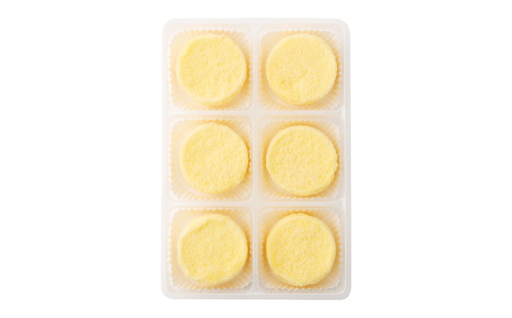 【3回定期便】 北海道ミニフロマージュ （プレーン） 約900g×3回 合計約2.7kg