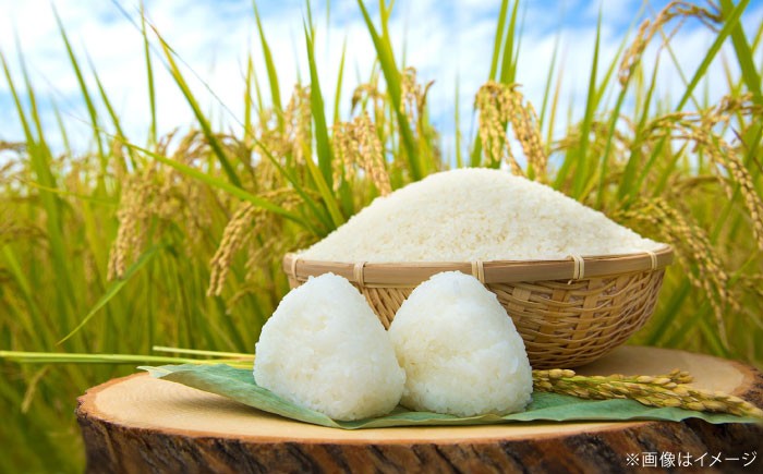  米 白米 こめ おこめ ごはん プレミアム ブランド つや姫 島根県 雲南市