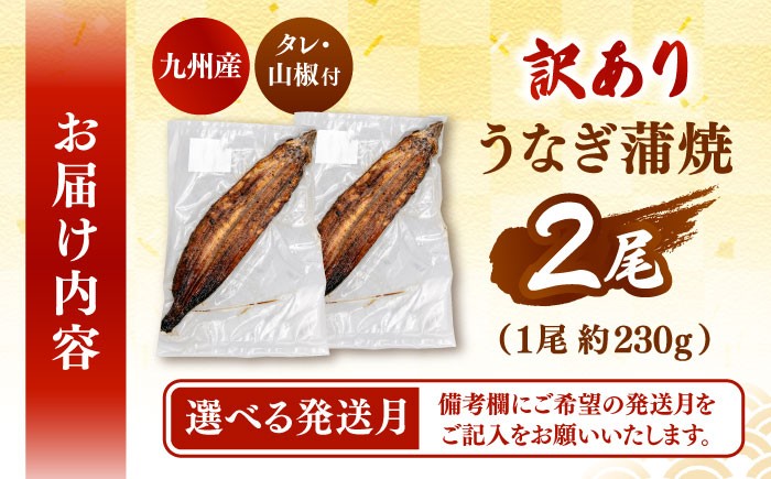 国産 うなぎ 鰻 ウナギ 訳あり ワケアリ 九州 鹿児島産 鹿児島県産 蒲焼