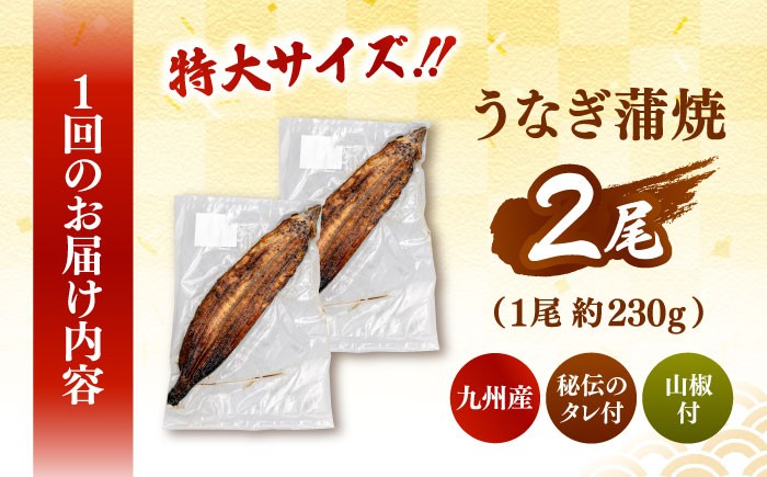 全3回定期便 特大！ 鹿児島産うなぎ 蒲焼2尾セット