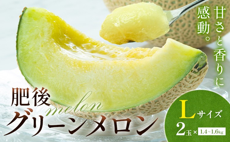 肥後グリーンメロン (中) Lサイズ 2玉【2024年5月上旬～6月下旬発送予定】