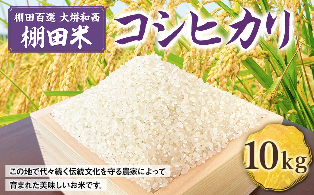 ★ 令和6年 新嘗祭 献納農家 が作った お米 ★ 棚田百選 大垪和西 棚田米 10kg （コシヒカリ）【 令和7年産 】