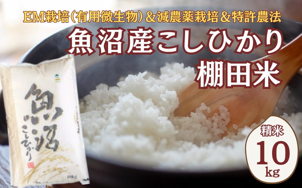 【令和7年産 新米】2025年9月下旬以降より準備出来次第、順次発送