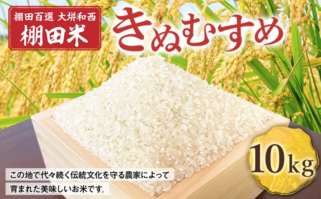 棚田百選 大垪和西 棚田米 10kg （ きぬむすめ ）×1袋