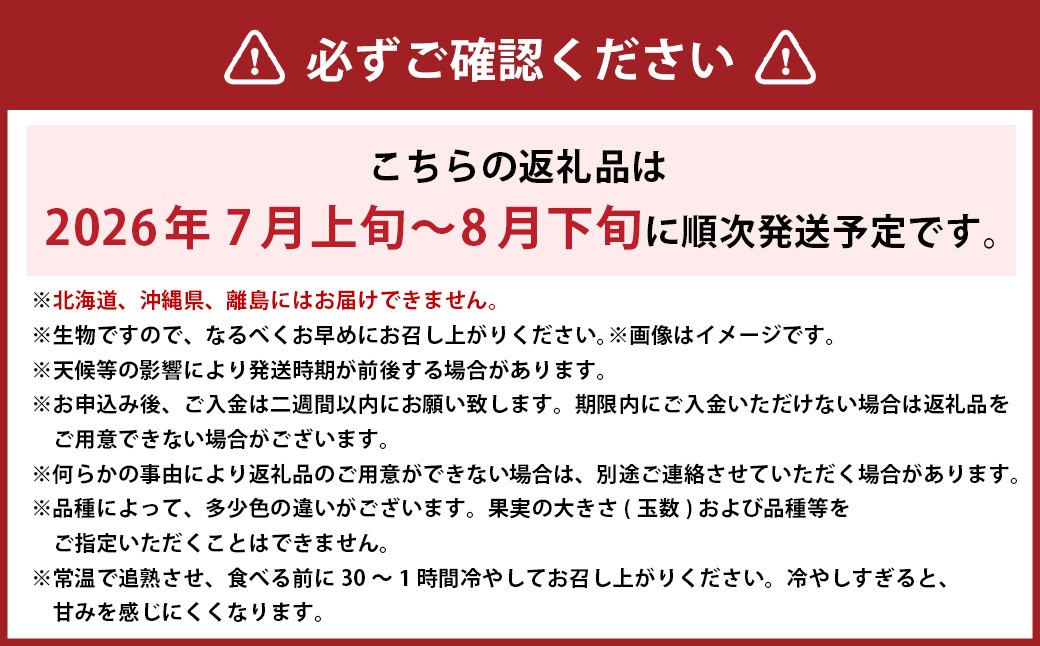 岡山白桃 エース 4～6玉 約1kg 岡山県産