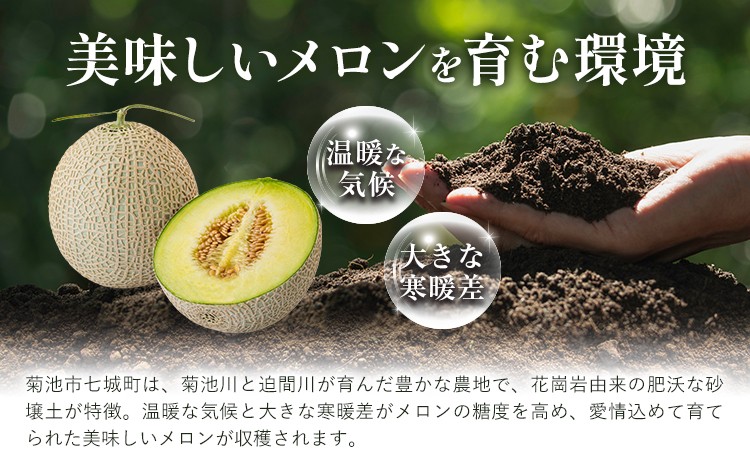 肥後グリーンメロン (中) Lサイズ 2玉【2024年5月上旬～6月下旬発送予定】