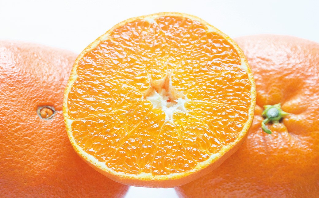 愛媛県産 大将甘平 特秀3L・4Lサイズ800g（3個） 【2026年2月上旬～2月下旬発送予定】（871）