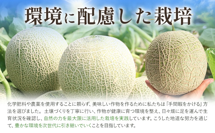 肥後グリーンメロン (中) Lサイズ 2玉【2024年5月上旬～6月下旬発送予定】