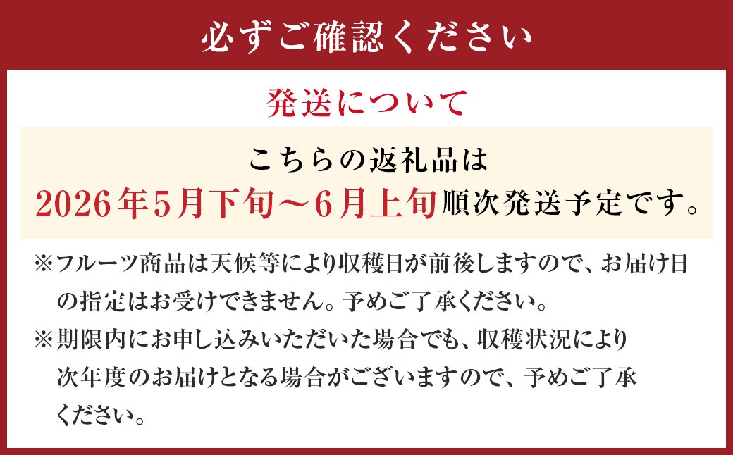 愛媛県産 河内晩柑 4kg（12～14個） （873）
