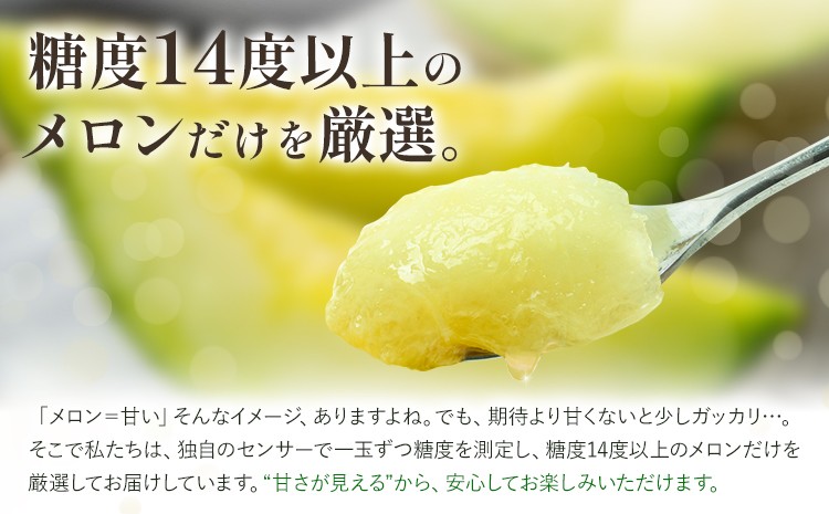 七城メロンGreen&Goldセット 肥後グリーン1玉とキンショーメロン2～3玉