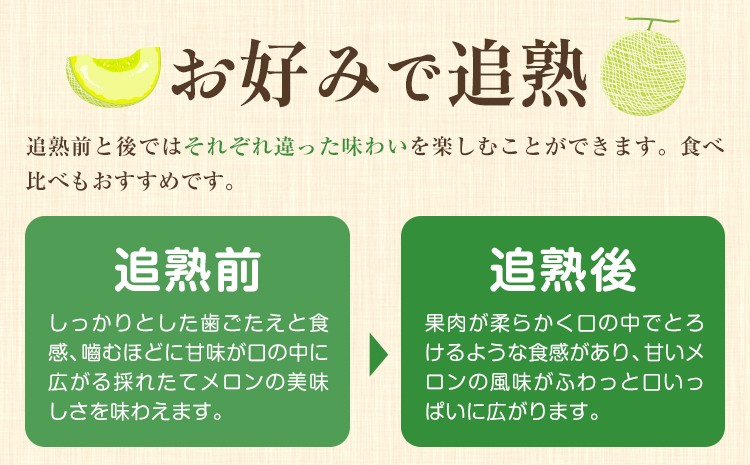 七城メロンGreen&Goldセット 肥後グリーン1玉とキンショーメロン2～3玉