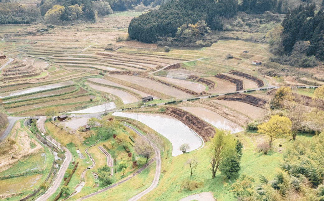 棚田百選 大垪和西 棚田米 10kg （ きぬむすめ ）×1袋