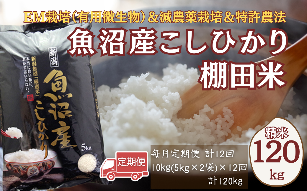 減農薬栽培に加えて、特許農法での「安心・安全なコメ作り」に取り組んでいます。