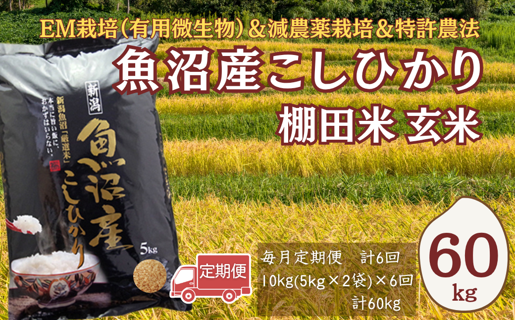 減農薬栽培に加えて、特許農法での「安心・安全なコメ作り」に取り組んでいます。
